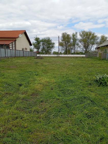 Teren de 2000 mp, în Crișan