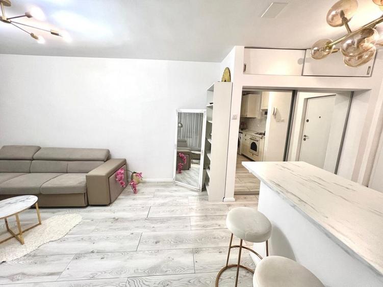 Apartament cochet Gara de Nord/ Calea Grivitei - 8