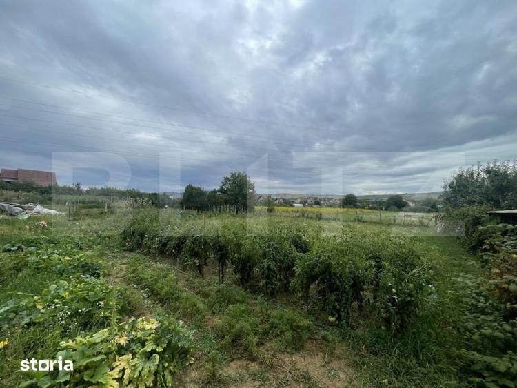 Teren de 1000 mp, în Viișoara