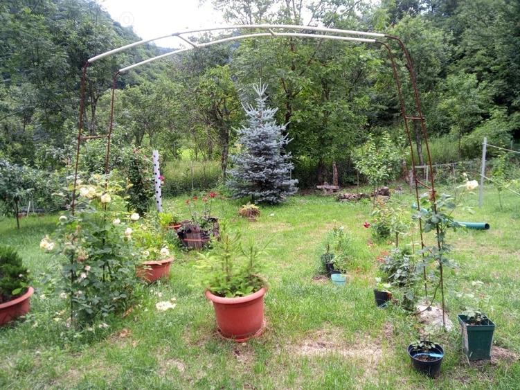 Casă cu 3 camere cu Teren 5400 Mp în Dumbrava