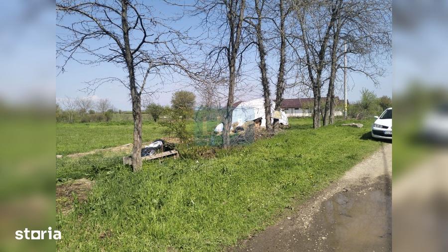 Teren de 1992 mp, în Coșoveni