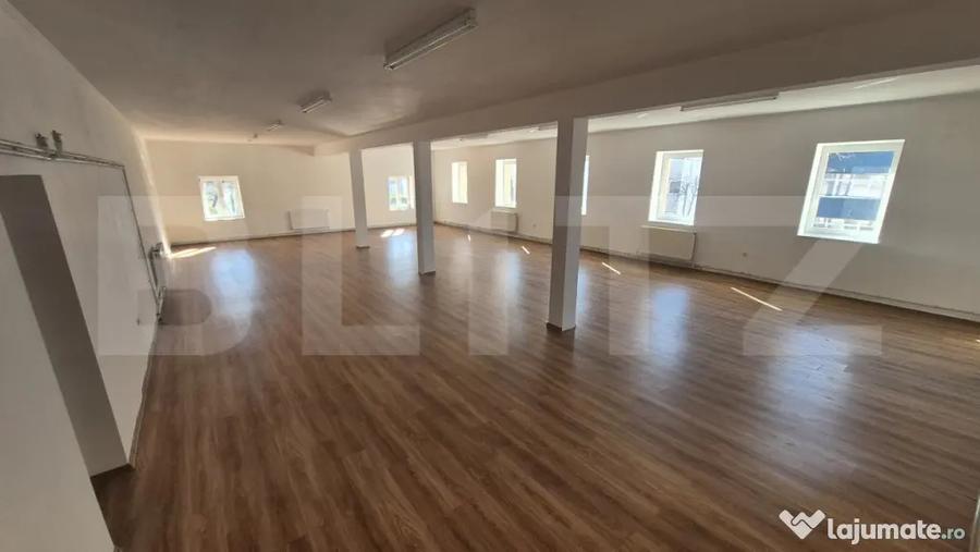 Spațiu comercial, de 773 mp, în Lucian Blaga