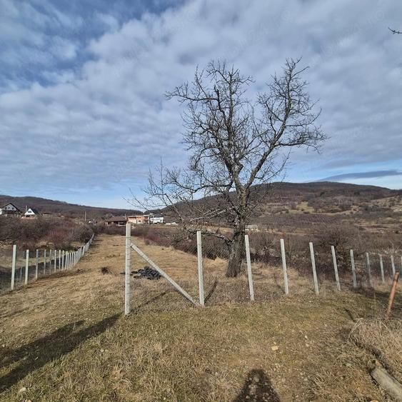 Teren de vanzare Valea Rusului - 3