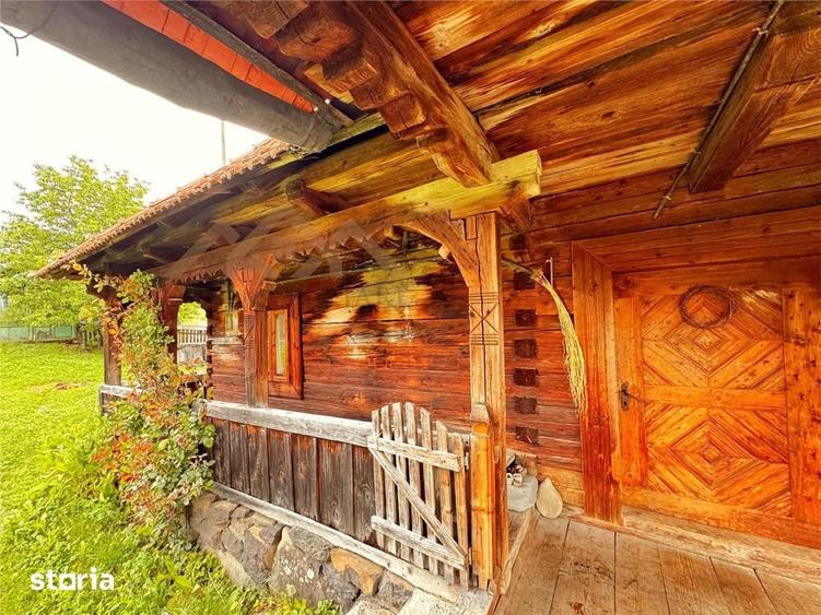 Casă cu 3 camere cu Teren 5300 Mp în Ocna Șugatag