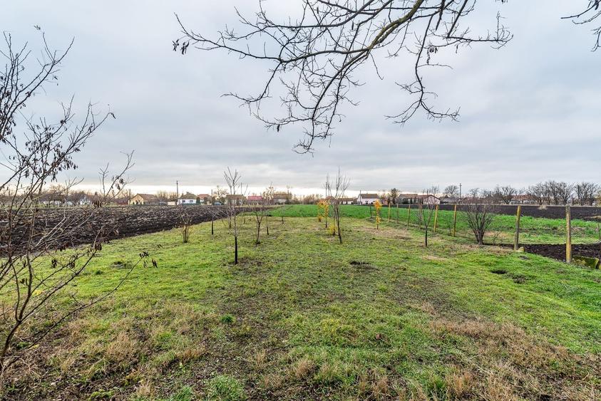 Casă individuală cu 3 camere cu Canalizare în Dorobanți