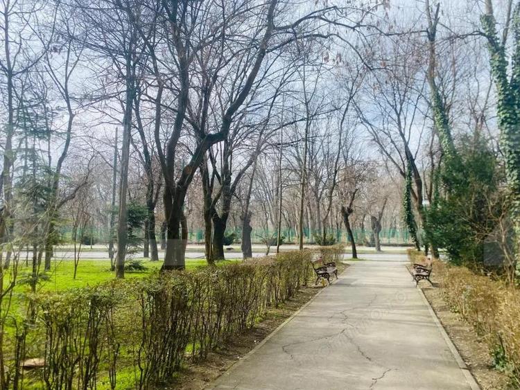 Apartament cu 2 camere semidecomandat în Medicină