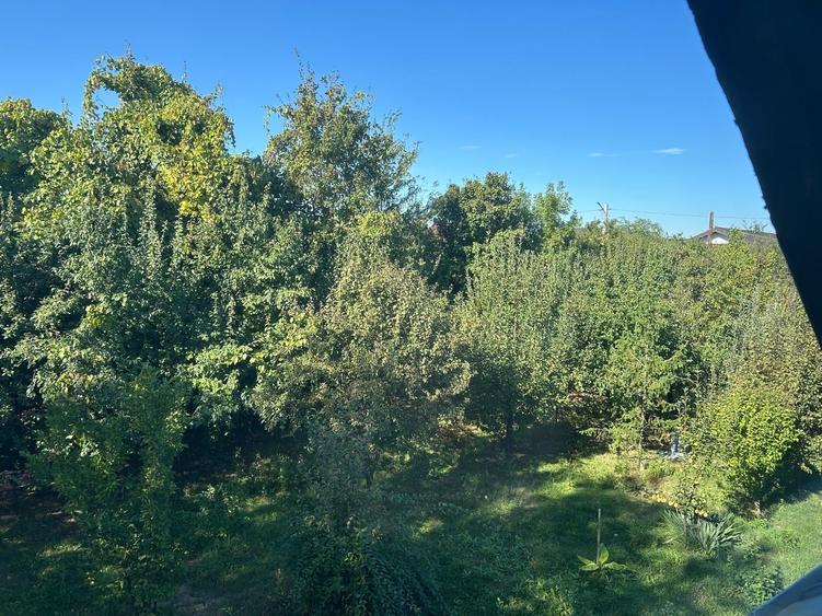Teren Construcții intravilan de 2600 mp, în Rahova