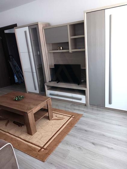 Apartament cu 2 camere decomandat, mobilat în Turnișor