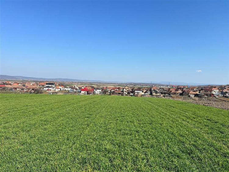 Teren extravilan de 5375 mp, în Cheriu