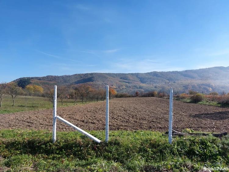 Teren de 4316 mp, în Fârdea
