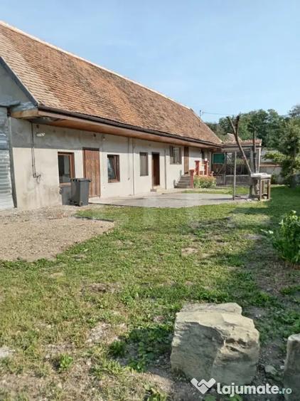 Casă cu 3 camere cu Teren 3800 Mp în Părău