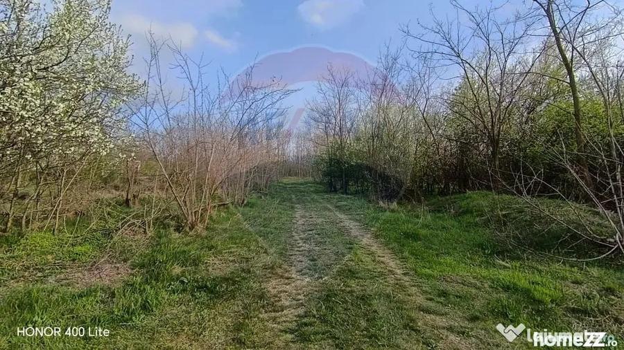 Teren în Păulești