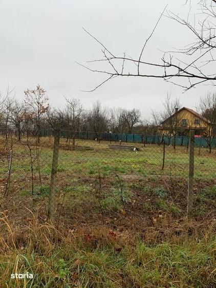 Teren intravilan Ville Satu Mare - 6