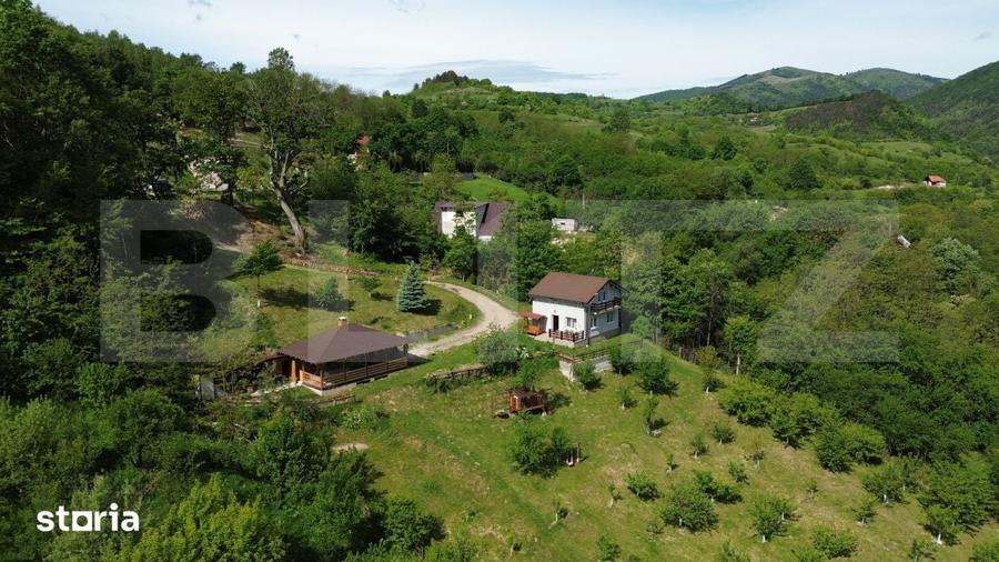 Casă cu 3 camere cu Teren 4300 Mp în Meteș