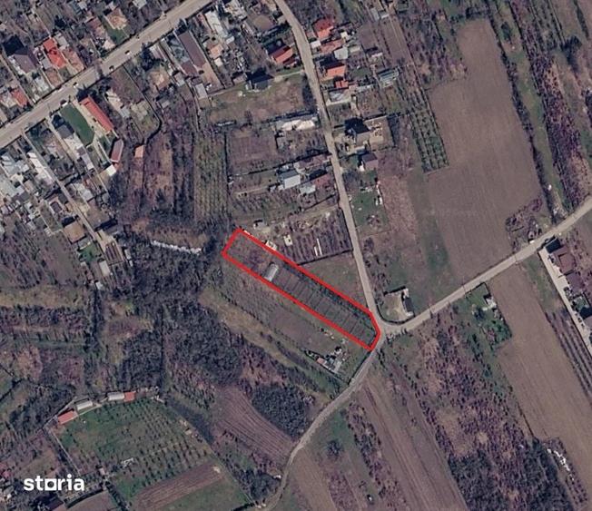 Teren de 3000 mp, în Central