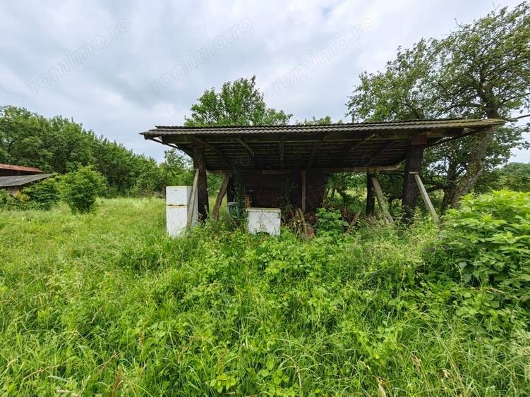 Teren intravilan 18.645 mp in Satul Santamaria de Piatra (sat apartinator Orasului Calan) Jud. HD. - 5