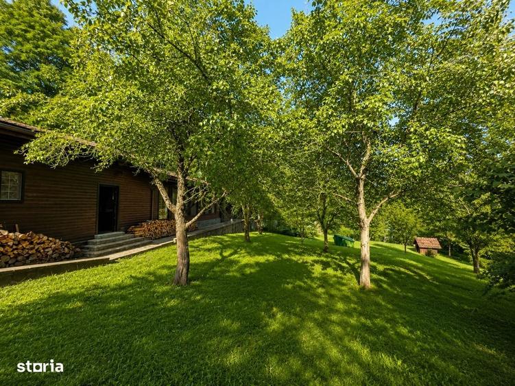 Mountain Chalet | Private Resort | Investment - Nistoresti - 7
