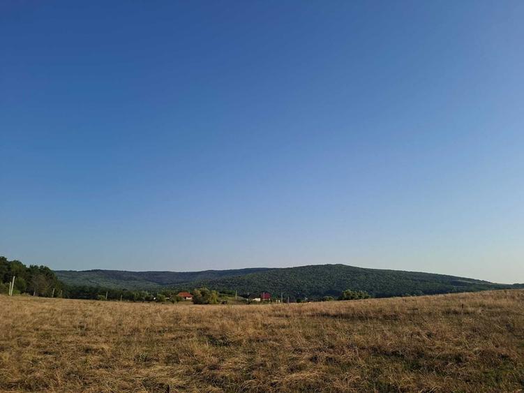 Teren de 1000 mp, în Bârnova