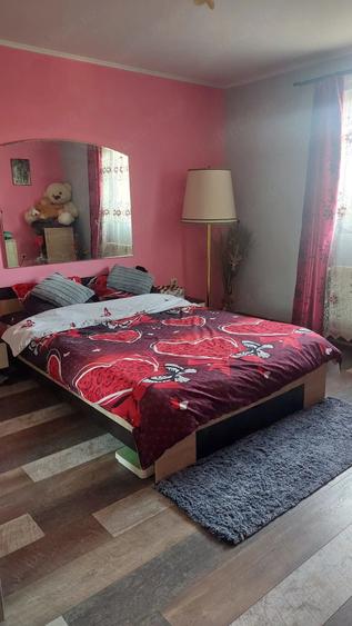 Casă cu Teren 690 Mp în Topolovățu Mare