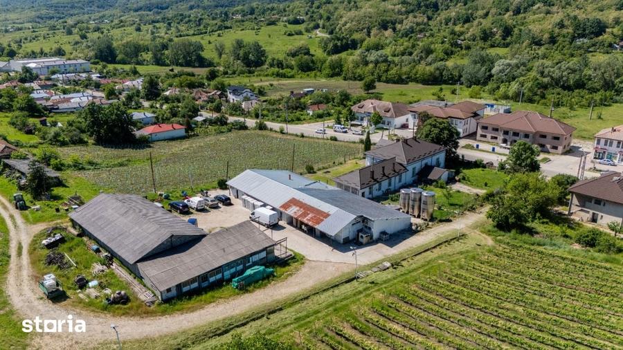 Teren de 600000 mp, în Vâlcea