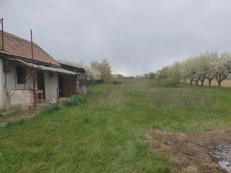 Teren de 7200 mp, în Miersig