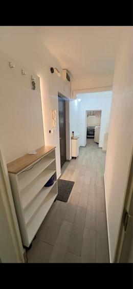 Apartament cu 2 camere decomandat în Rovine