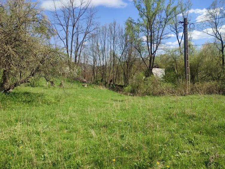 Teren intravilan de 1200 mp, în Provița de Sus