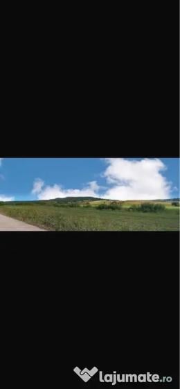 Teren de 28000 mp, în Șoarș