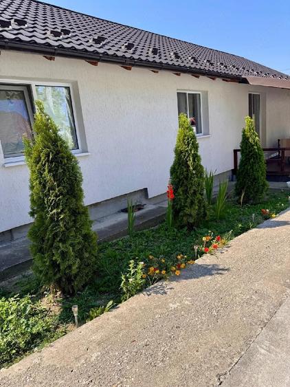 Casă cu Teren 867 Mp în Drăganu