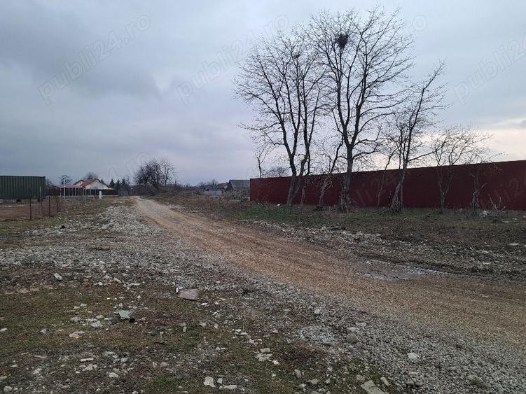 Teren Construcții intravilan de 1450 mp, în Cărpiniș
