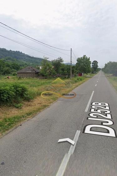 Teren Construcții intravilan de 3796 mp, în Tamași