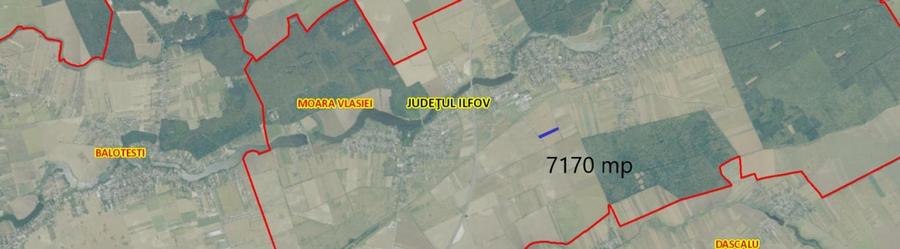 Teren agricol extravilan de 7170 mp, în Moara Vlăsiei