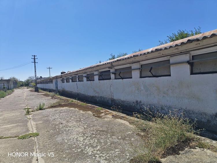 Spațiu industrial, de 7,950 mp, în Orțișoara