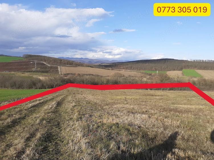 Teren de 20790 mp, în Jeledinți