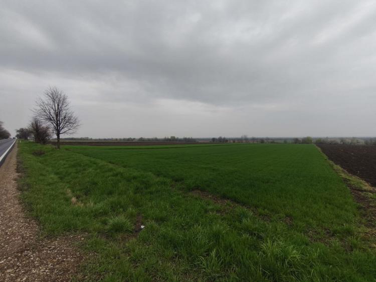 Teren de 6000 mp, în Horodnic