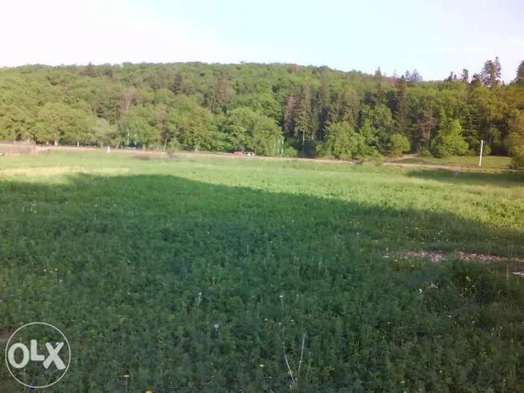 Teren 1381 mp intravilan Cristian jud Brasov - 9
