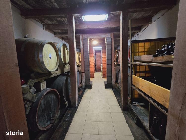 Spațiu comercial, în Covăsinț