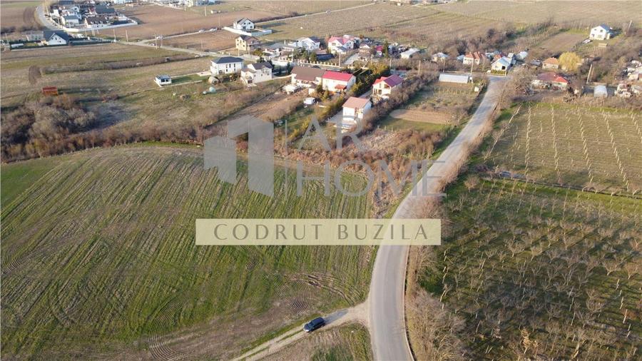 Teren Construcții intravilan de 2500 mp, în Chițorani