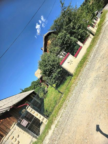 Casă cu 5 camere cu Teren 2800 Mp în Central