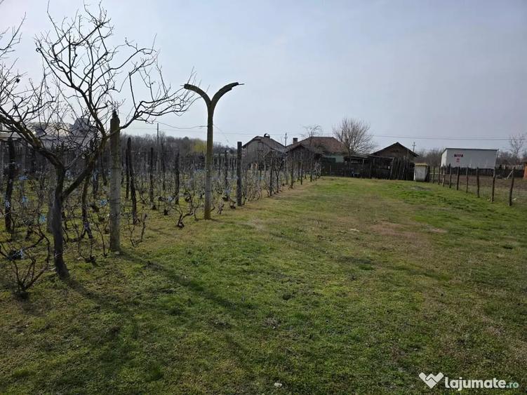 Casă cu 3 camere în Central
