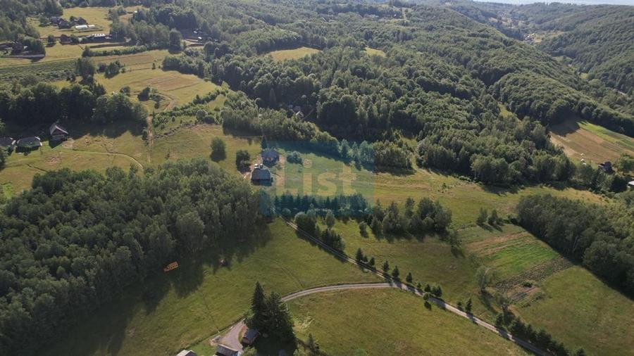Teren de 38781 mp, în Râșca