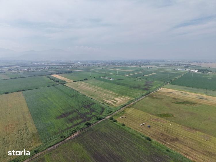 Teren de 52700 mp, în Stupini
