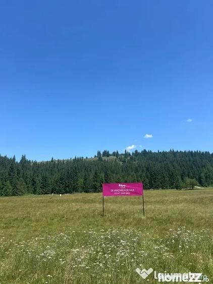 Teren de 40250 mp, în Comandău