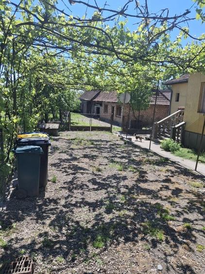 Casă cu 3 camere în Viișoara
