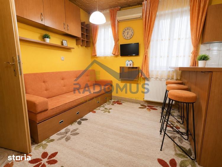 Apartament cu 2 camere, mobilat în Ultracentral