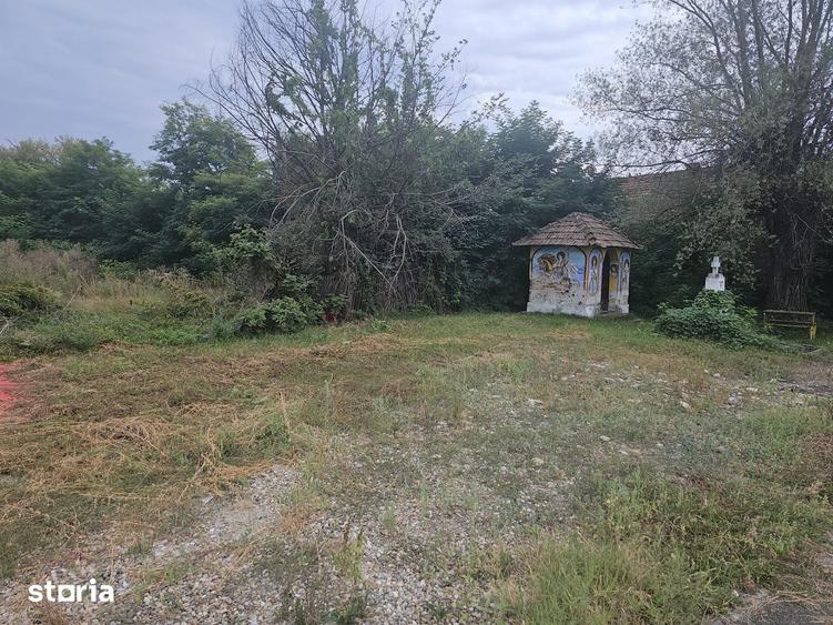Teren de 3800 mp, în Țițești