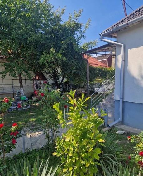 Casă cu 2 camere cu Teren 1600 Mp în Central