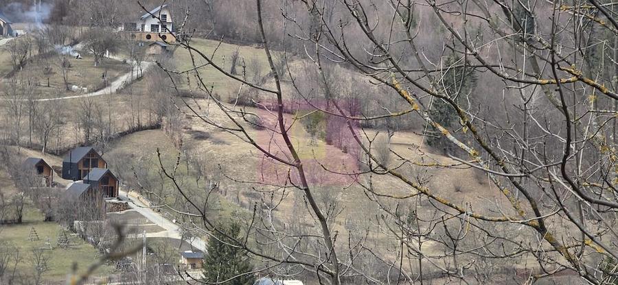 Teren de 2500 mp, în Valea Doftanei