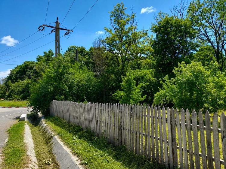 Teren de 1570 mp, în Băbana