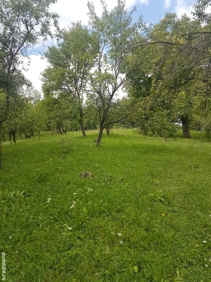 Teren de 2300 mp, în Runcu